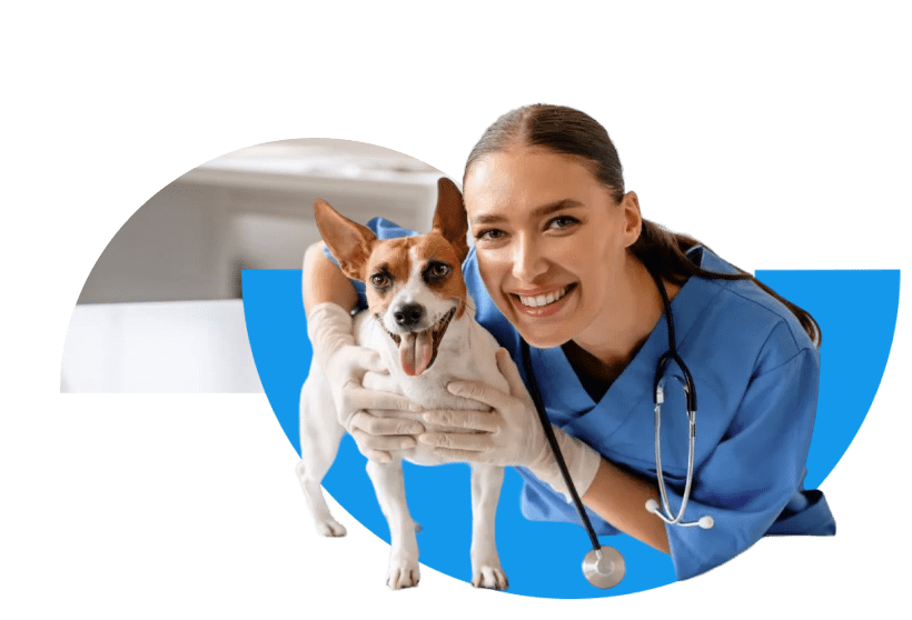 Tiermedizinische Fachangestellte