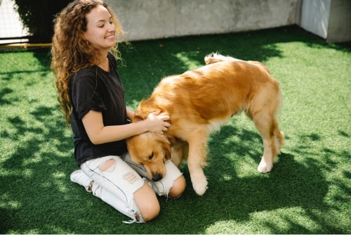 Golden Retriever mit Frau im Garten