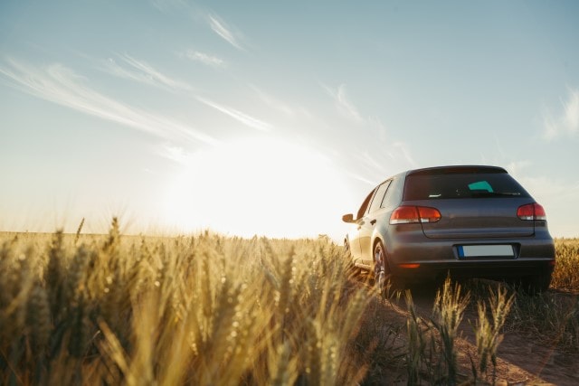 Ein neuer VW Golf 8 von hinten.