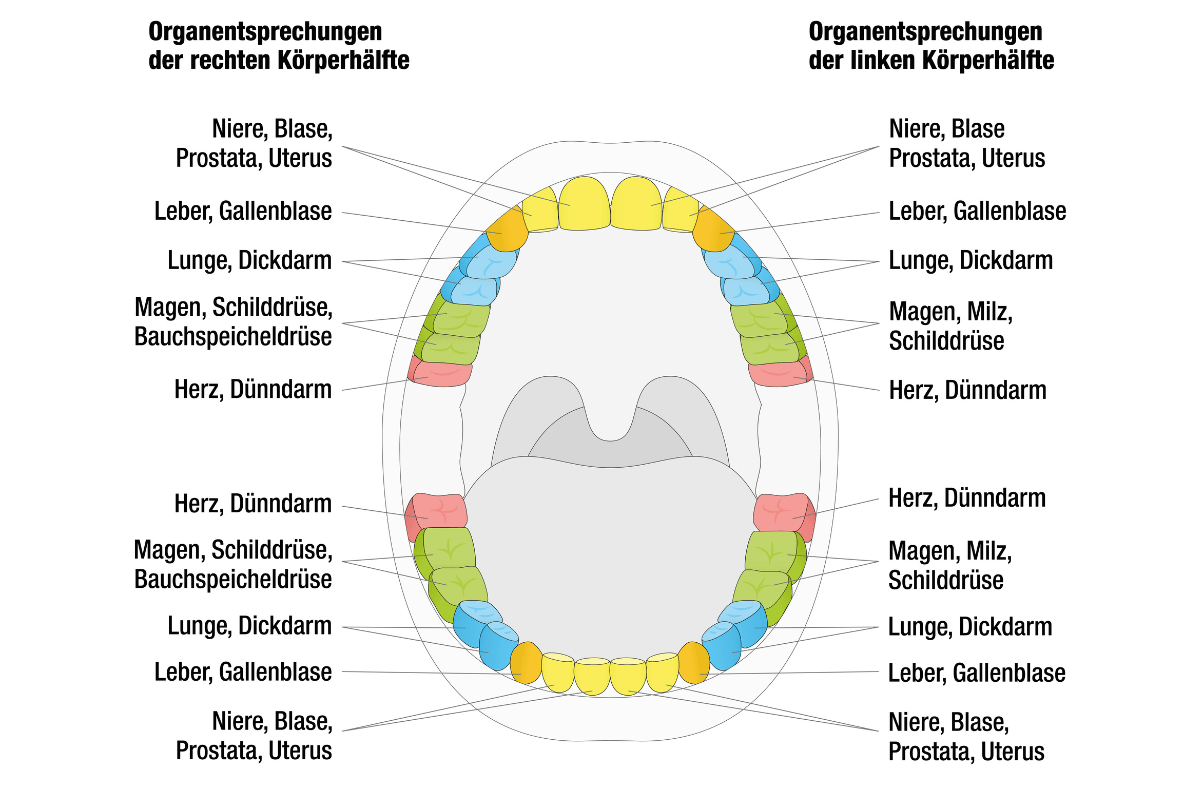 Auswirkungen von kranken Zähnen auf den Körper und die Gesundheit