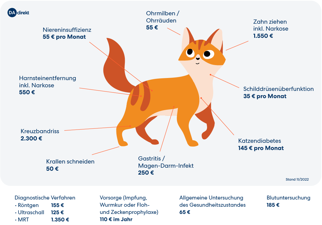 Die Günstige Katzenversicherung Für Alle Katzenrassen