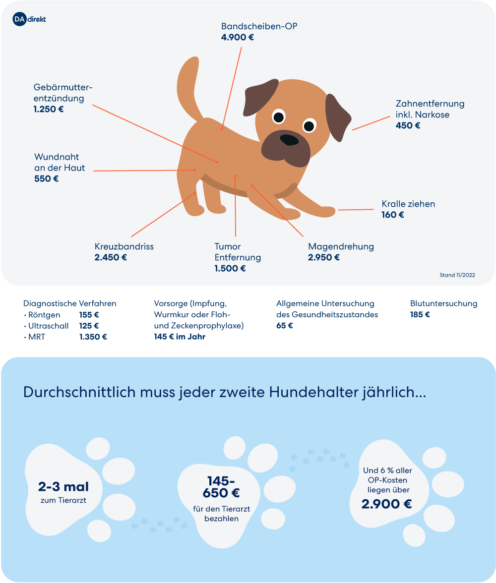 Was kostet eine komplette hundeversicherung?