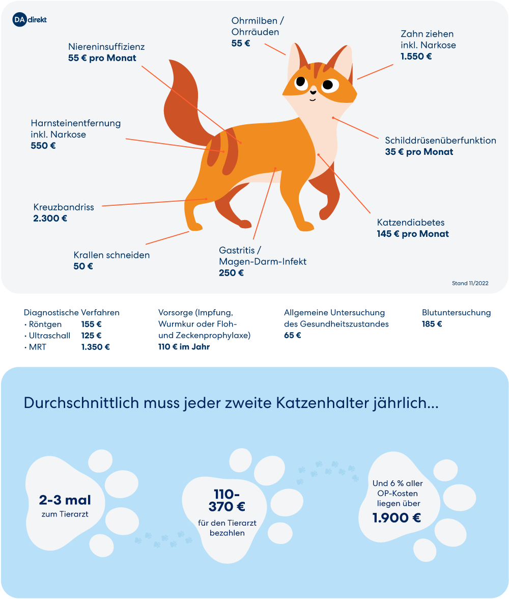 Sollte man eine katzenversicherung abschließen?