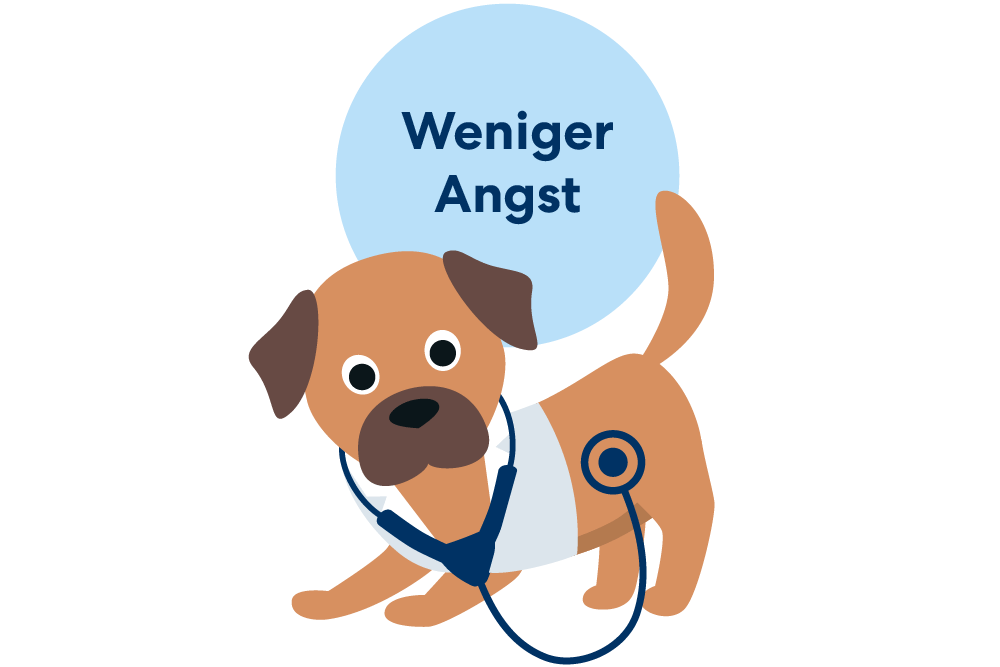 Die Günstige Hundekrankenversicherung Für Alle Hunderassen