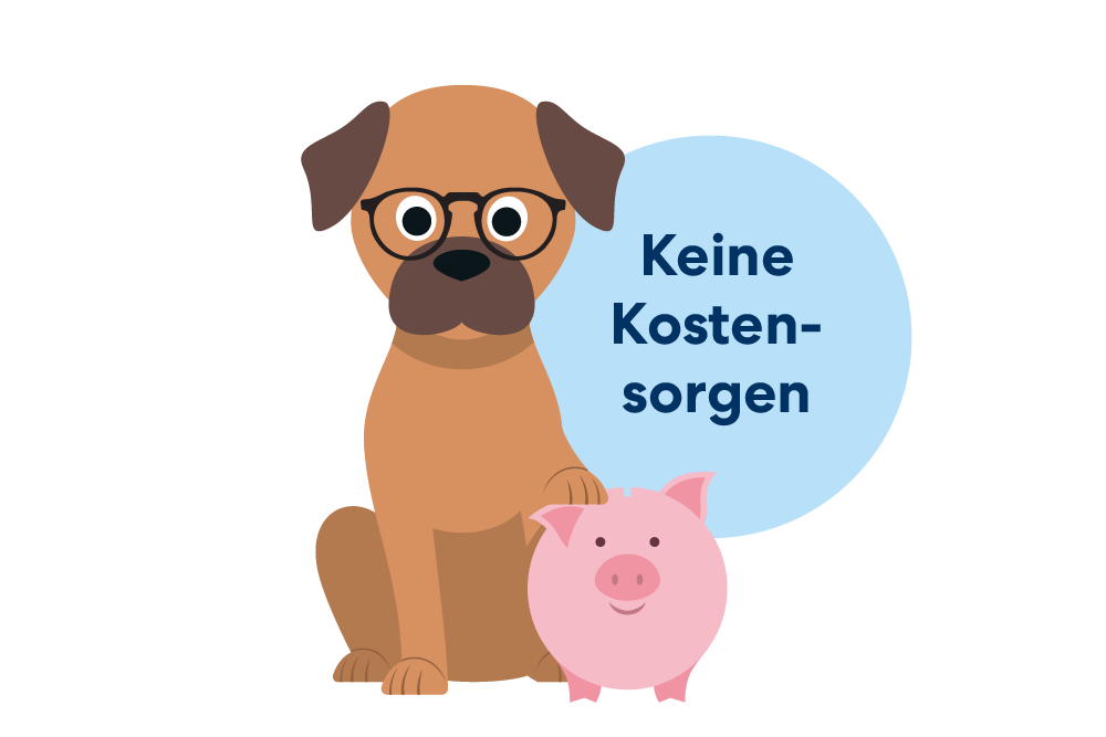 Die Günstige Hundekrankenversicherung Für Alle Hunderassen