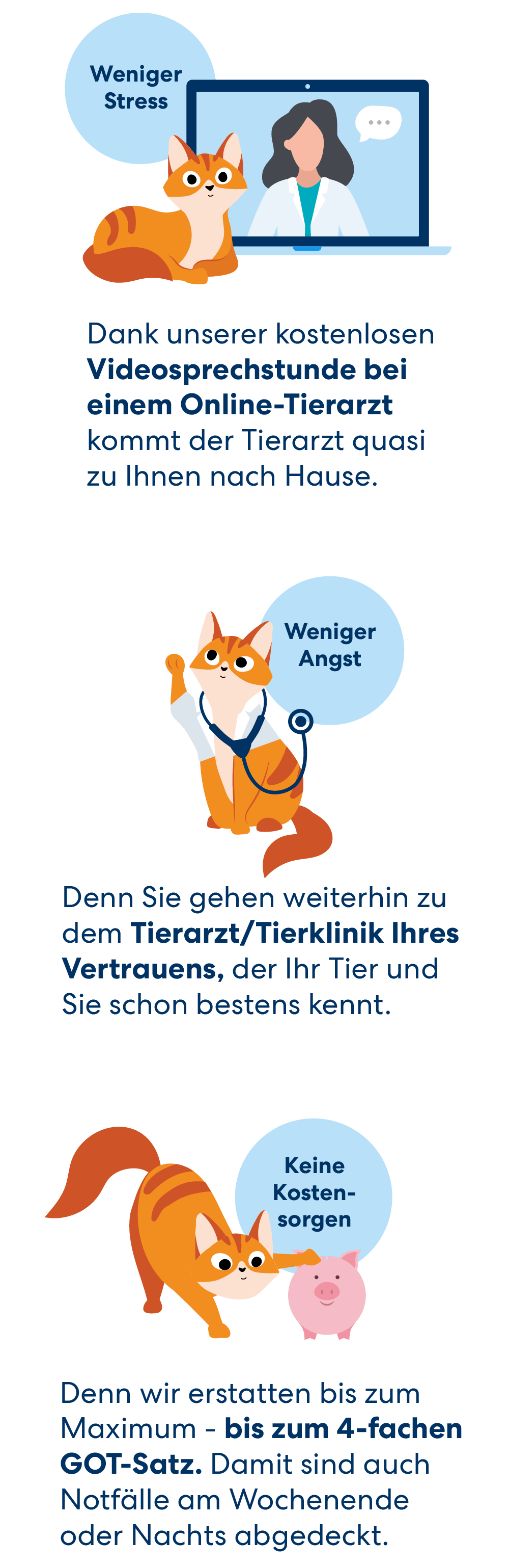 Die Günstige Katzenversicherung Für Alle Katzenrassen